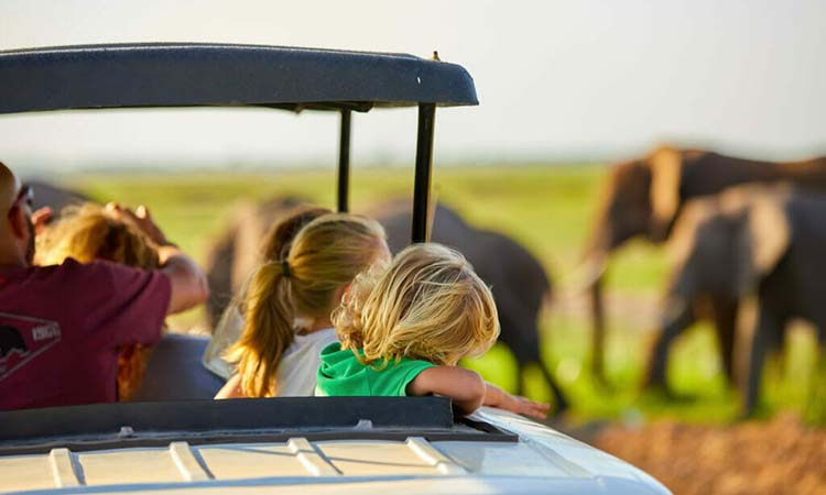 Ngorongoro