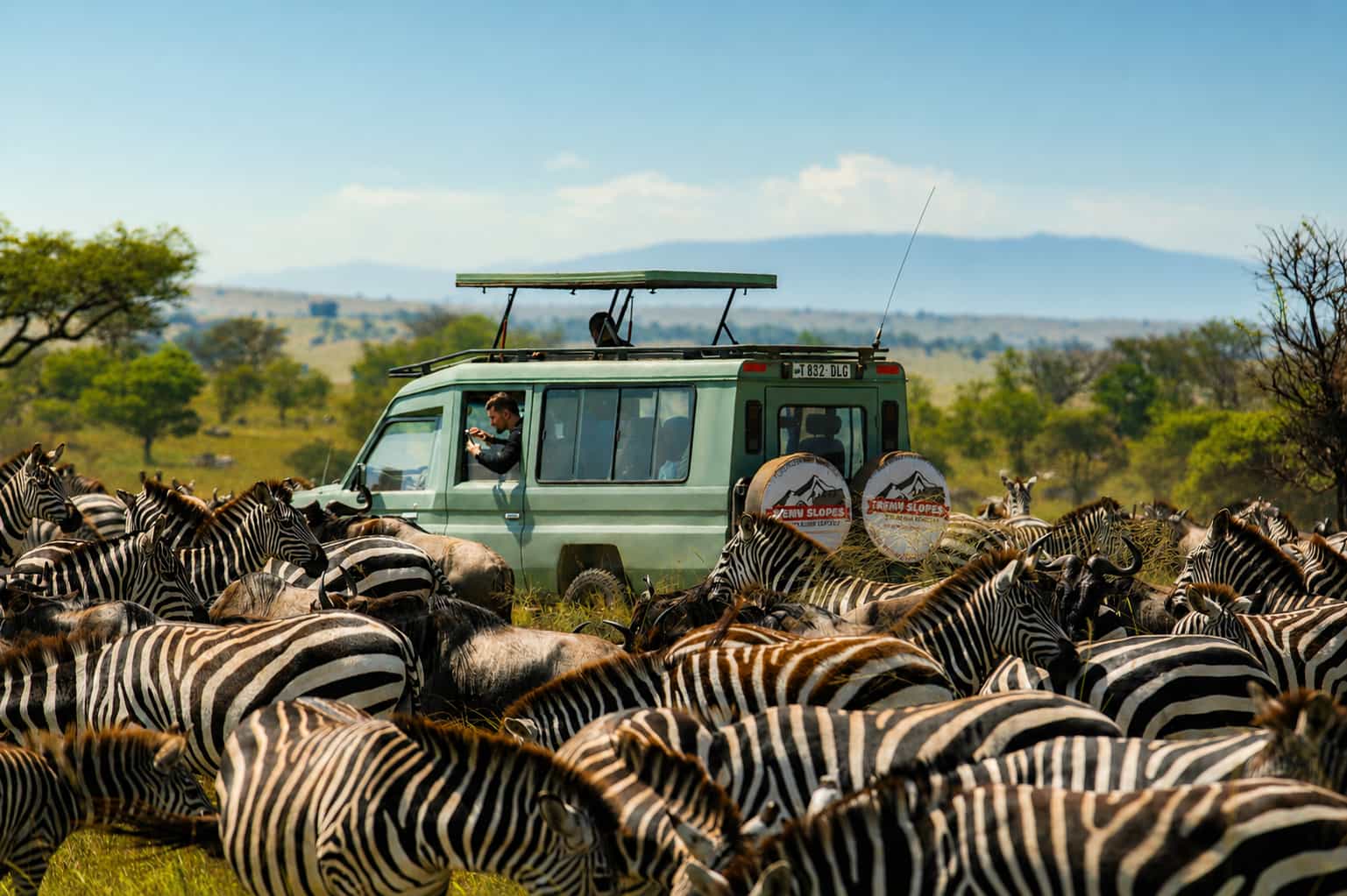 Tanzania Wildlife Safari Experience